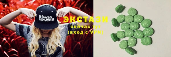 хмурый Аркадак