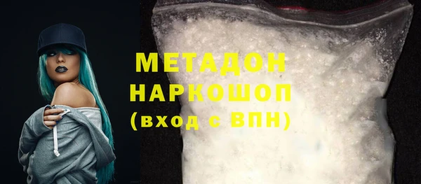 хмурый Аркадак