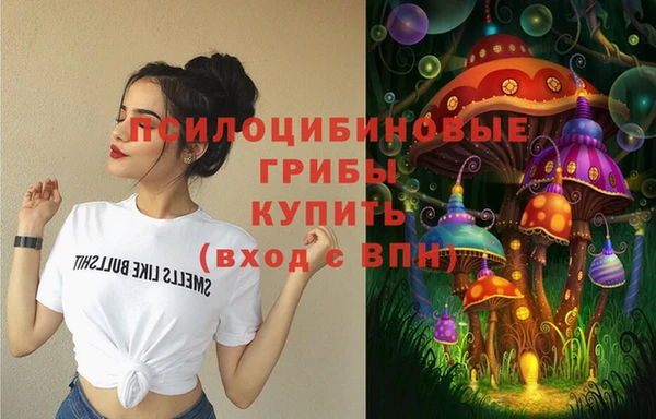хмурый Аркадак
