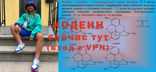 хмурый Аркадак