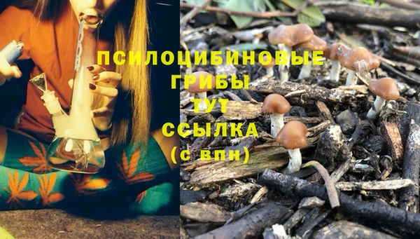 гидра Алексеевка