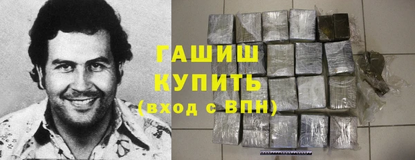 хмурый Аркадак