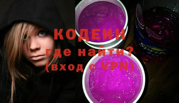 хмурый Аркадак