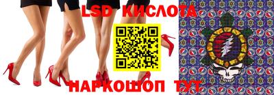 apvp Славгород