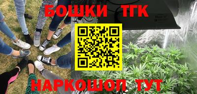 apvp Славгород