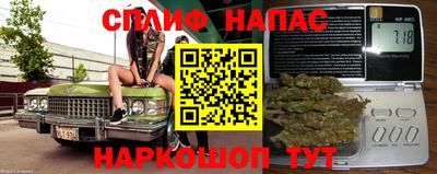 apvp Славгород