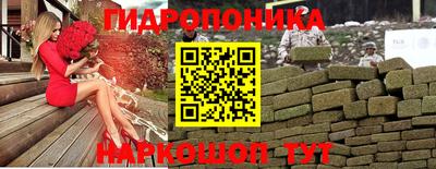 apvp Славгород