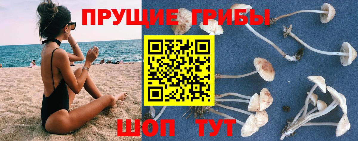 Псилоцибиновые грибы ЛСД  Галлюциногенные грибы ЛСД  Балашов  Вход с VPN 