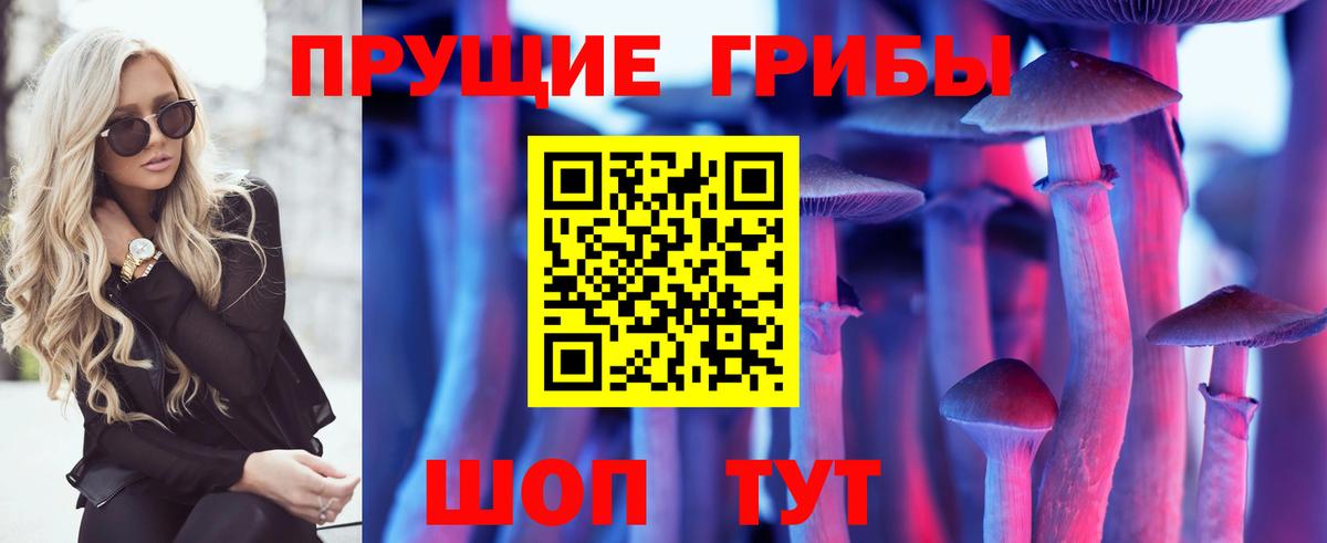 Галлюциногенные грибы прущие грибы Балашов